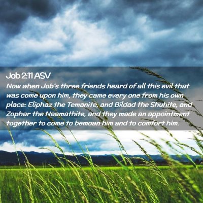 Picture 02 - Job 2:11 ASV - Now when Job's three friends heard of all this - Bible Verse Picture
