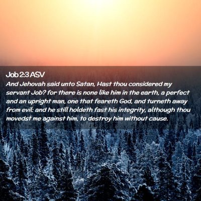 Picture 02 - Job 2:3 ASV - And Jehovah said unto Satan, Hast thou considered - Bible Verse Picture