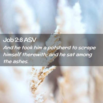 Picture 02 - Job 2:8 ASV - And he took him a potsherd to scrape himself - Bible Verse Picture
