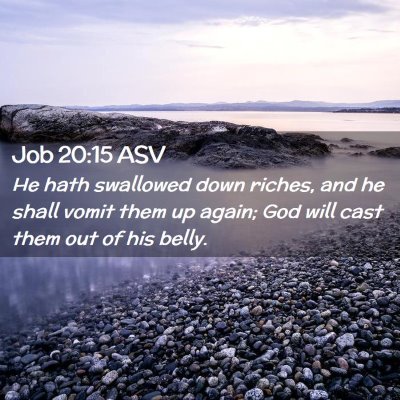 Picture 02 - Job 20:15 ASV - He hath swallowed down riches, and he shall vomit - Bible Verse Picture