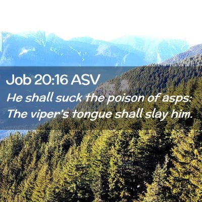 Picture 02 - Job 20:16 ASV - He shall suck the poison of asps: The viper's - Bible Verse Picture