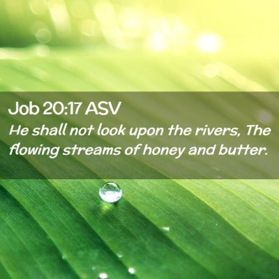 Picture 02 - Job 20:17 ASV - He shall not look upon the rivers, The flowing - Bible Verse Picture