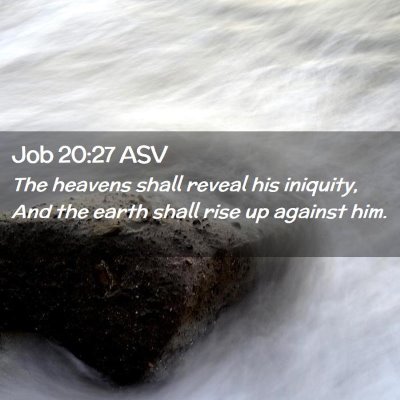 Picture 02 - Job 20:27 ASV - The heavens shall reveal his iniquity, And the - Bible Verse Picture