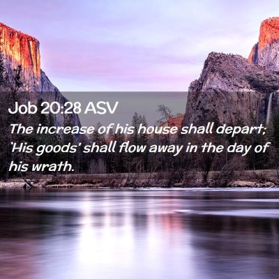 Picture 02 - Job 20:28 ASV - The increase of his house shall depart; `His - Bible Verse Picture