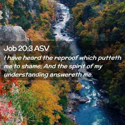 Picture 02 - Job 20:3 ASV - I have heard the reproof which putteth me to - Bible Verse Picture