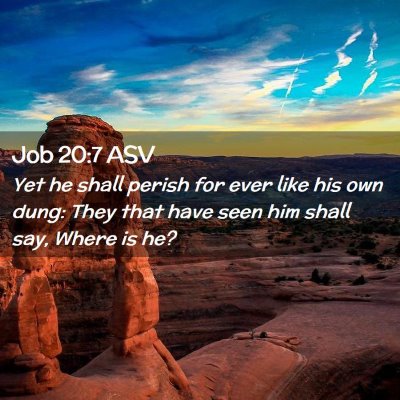 Picture 02 - Job 20:7 ASV - Yet he shall perish for ever like his own dung: - Bible Verse Picture