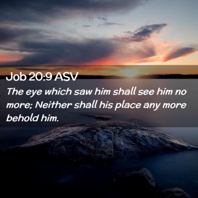 Picture 02 - Job 20:9 ASV - The eye which saw him shall see him no more; - Bible Verse Picture