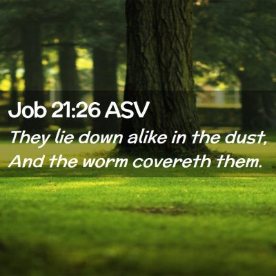 Picture 02 - Job 21:26 ASV - They lie down alike in the dust, And the worm - Bible Verse Picture