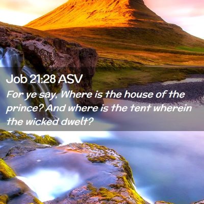 Picture 02 - Job 21:28 ASV - For ye say, Where is the house of the prince? And - Bible Verse Picture