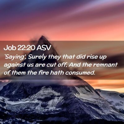 Picture 02 - Job 22:20 ASV - `Saying', Surely they that did rise up against us - Bible Verse Picture