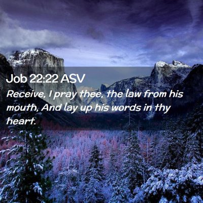 Picture 02 - Job 22:22 ASV - Receive, I pray thee, the law from his mouth, And - Bible Verse Picture