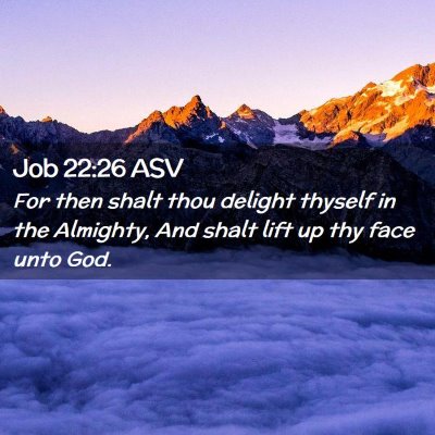 Picture 02 - Job 22:26 ASV - For then shalt thou delight thyself in the - Bible Verse Picture