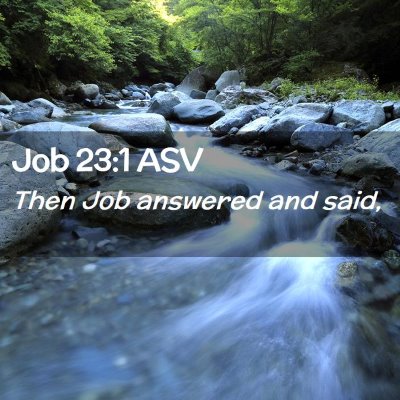 Picture 02 - Job 23:1 ASV - Then Job answered and - Bible Verse Picture
