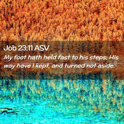 Picture 02 - Job 23:11 ASV - My foot hath held fast to his steps; His way have - Bible Verse Picture