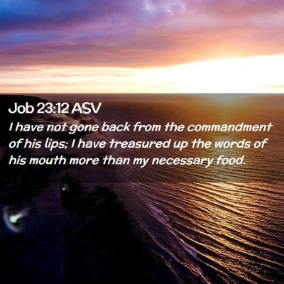 Picture 02 - Job 23:12 ASV - I have not gone back from the commandment of his - Bible Verse Picture