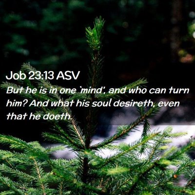 Picture 02 - Job 23:13 ASV - But he is in one `mind', and who can turn him? - Bible Verse Picture
