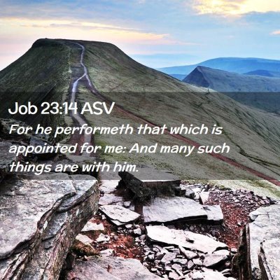 Picture 02 - Job 23:14 ASV - For he performeth that which is appointed for me: - Bible Verse Picture