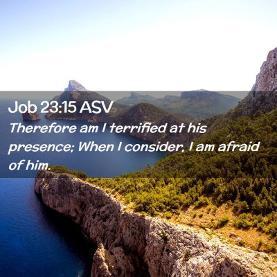 Picture 02 - Job 23:15 ASV - Therefore am I terrified at his presence; When I - Bible Verse Picture