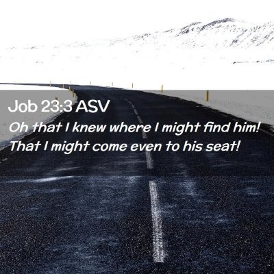 Picture 02 - Job 23:3 ASV - Oh that I knew where I might find him! That I - Bible Verse Picture