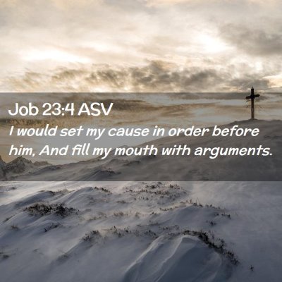 Picture 02 - Job 23:4 ASV - I would set my cause in order before him, And - Bible Verse Picture