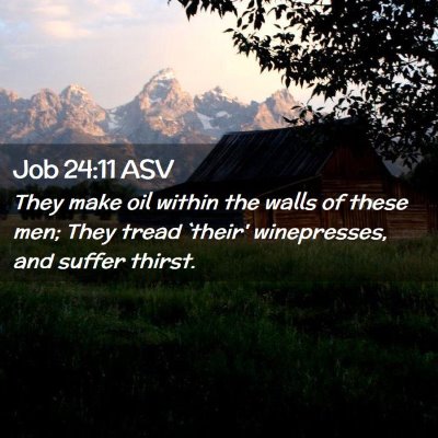 Picture 02 - Job 24:11 ASV - They make oil within the walls of these men; They - Bible Verse Picture