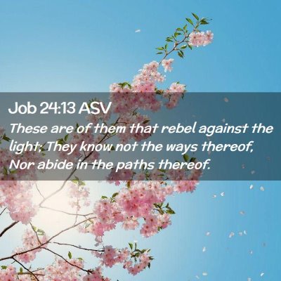 Picture 02 - Job 24:13 ASV - These are of them that rebel against the light; - Bible Verse Picture