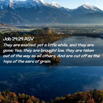 Picture 02 - Job 24:24 ASV - They are exalted; yet a little while, and they - Bible Verse Picture