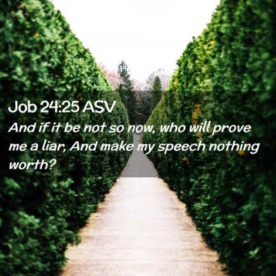 Picture 02 - Job 24:25 ASV - And if it be not so now, who will prove me a - Bible Verse Picture