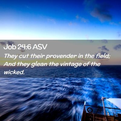 Picture 02 - Job 24:6 ASV - They cut their provender in the field; And they - Bible Verse Picture