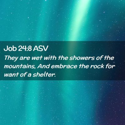 Picture 02 - Job 24:8 ASV - They are wet with the showers of the mountains, - Bible Verse Picture