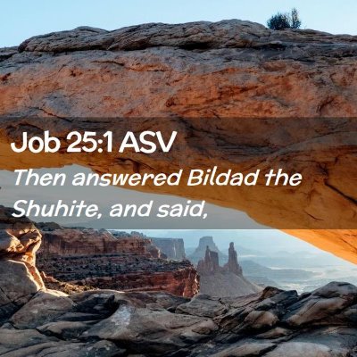 Picture 02 - Job 25:1 ASV - Then answered Bildad the Shuhite, and - Bible Verse Picture