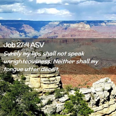 Picture 02 - Job 27:4 ASV - Surely my lips shall not speak unrighteousness, - Bible Verse Picture