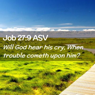 Picture 02 - Job 27:9 ASV - Will God hear his cry, When trouble cometh upon - Bible Verse Picture