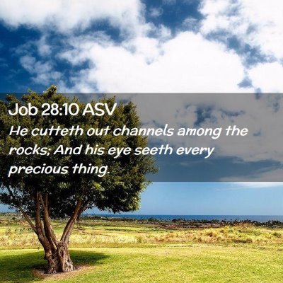 Picture 02 - Job 28:10 ASV - He cutteth out channels among the rocks; And his - Bible Verse Picture