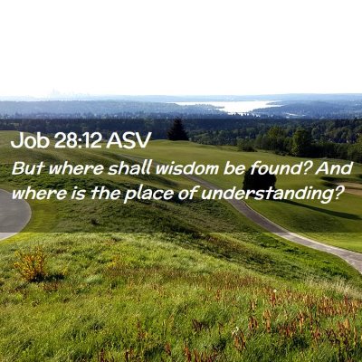 Picture 02 - Job 28:12 ASV - But where shall wisdom be found? And where is the - Bible Verse Picture
