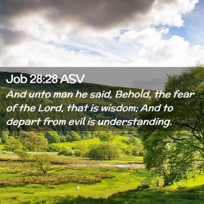 Picture 02 - Job 28:28 ASV - And unto man he said, Behold, the fear of the - Bible Verse Picture