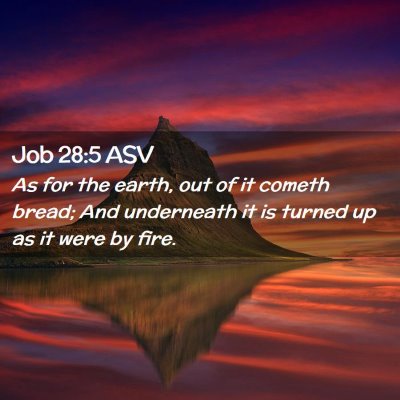 Picture 02 - Job 28:5 ASV - As for the earth, out of it cometh bread; And - Bible Verse Picture