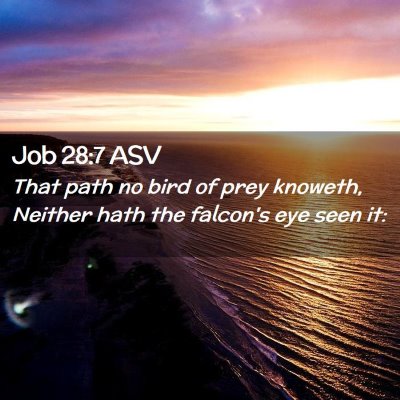 Picture 02 - Job 28:7 ASV - That path no bird of prey knoweth, Neither hath - Bible Verse Picture