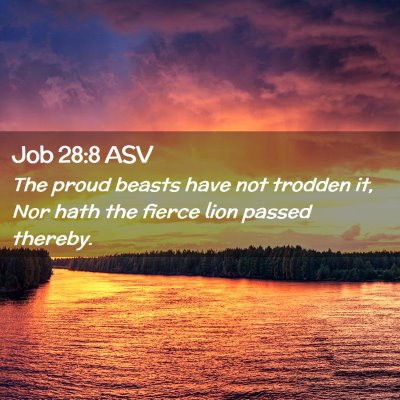 Picture 02 - Job 28:8 ASV - The proud beasts have not trodden it, Nor hath - Bible Verse Picture
