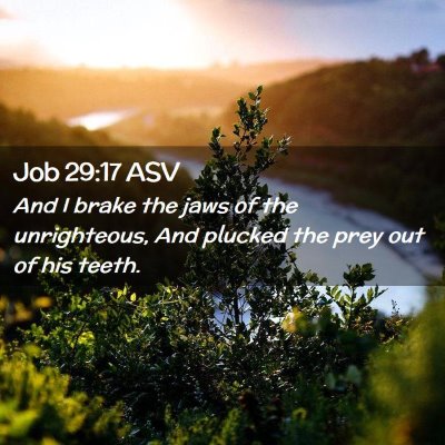 Picture 02 - Job 29:17 ASV - And I brake the jaws of the unrighteous, And - Bible Verse Picture