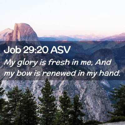 Picture 02 - Job 29:20 ASV - My glory is fresh in me, And my bow is renewed in - Bible Verse Picture