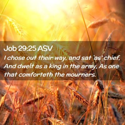 Picture 02 - Job 29:25 ASV - I chose out their way, and sat `as' chief, And - Bible Verse Picture