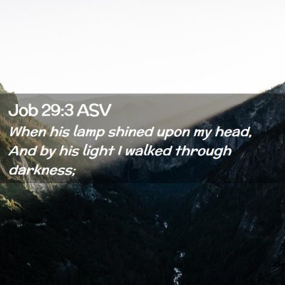 Picture 02 - Job 29:3 ASV - When his lamp shined upon my head, And by his - Bible Verse Picture