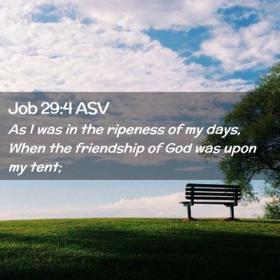Picture 02 - Job 29:4 ASV - As I was in the ripeness of my days, When the - Bible Verse Picture