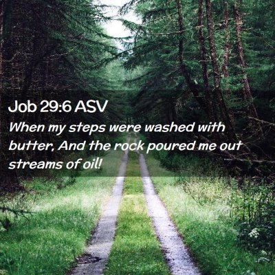 Picture 02 - Job 29:6 ASV - When my steps were washed with butter, And the - Bible Verse Picture