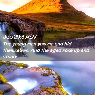 Picture 02 - Job 29:8 ASV - The young men saw me and hid themselves, And the - Bible Verse Picture
