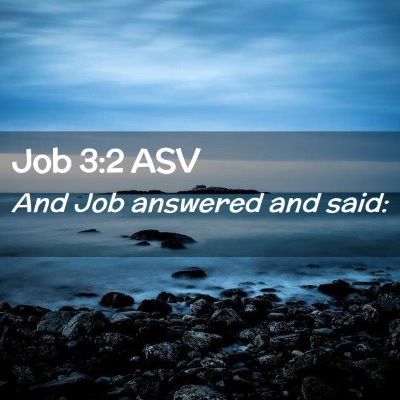 Picture 02 - Job 3:2 ASV - And Job answered and - Bible Verse Picture