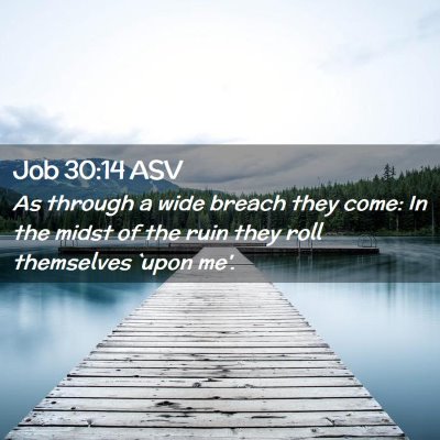 Picture 02 - Job 30:14 ASV - As through a wide breach they come: In the midst - Bible Verse Picture