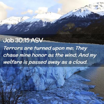 Picture 02 - Job 30:15 ASV - Terrors are turned upon me; They chase mine honor - Bible Verse Picture