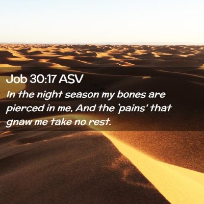 Picture 02 - Job 30:17 ASV - In the night season my bones are pierced in me, - Bible Verse Picture
